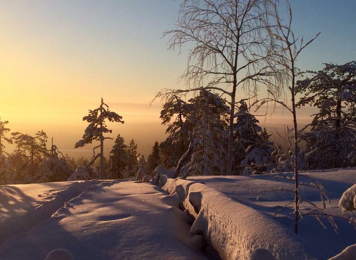 Villa Happy Fox Rovaniemi Zewnętrze zdjęcie