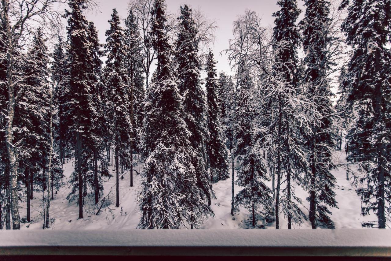 Villa Happy Fox Rovaniemi Zewnętrze zdjęcie